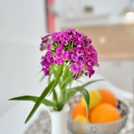 San Cassiano Apartman